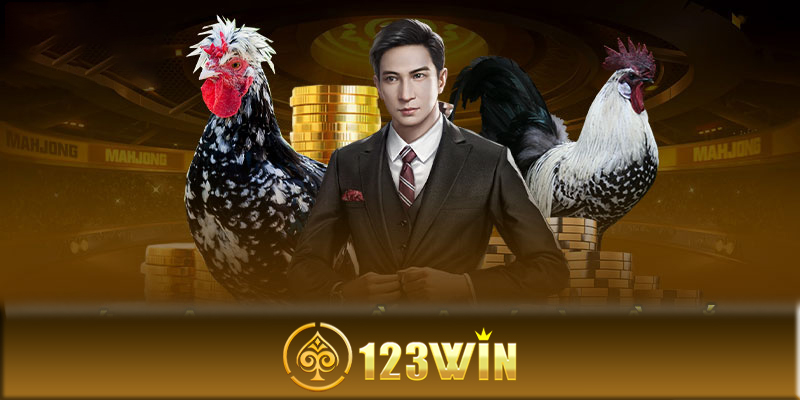 Đá gà 123Win - Cách tham gia chơi đá gà 123Win an toàn nhất